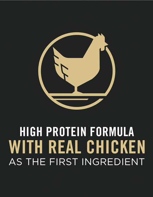 Load image into Gallery viewer, Liveclear with Probiotics Allergen Reducing Adult Dry Cat Food &amp; Cat Shampoo
