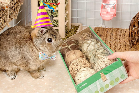 Small Animals Play & Activity Balls Rolling Chew Toys for Rabbits Guinea Pigs Chinchilla