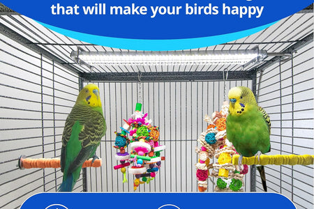 - Bird Cage Light with Chew Guard for Hook Bill Birds & Soft Bill Birds - Full Spectrum LED Pet Light - Simulates Natural Environment